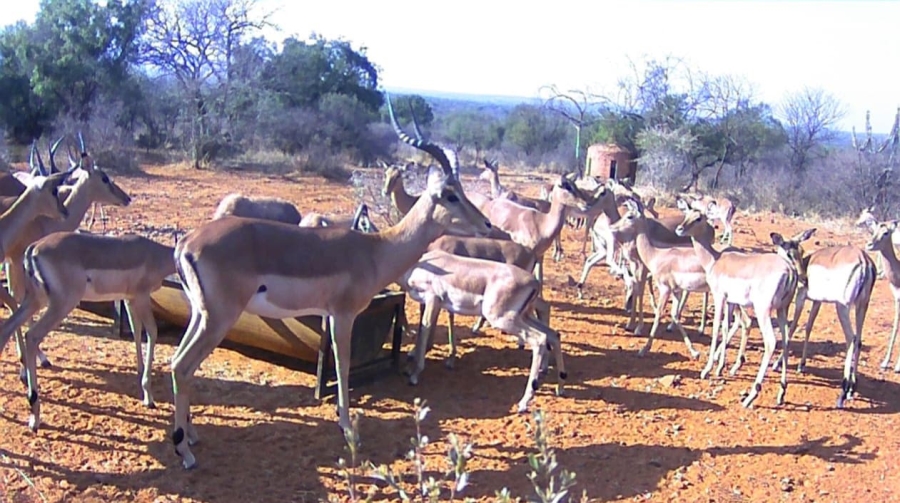 17 Bedroom Property for Sale in Koster North West